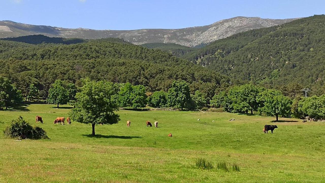 Holiday home El Retiro De Avila La Adrada
